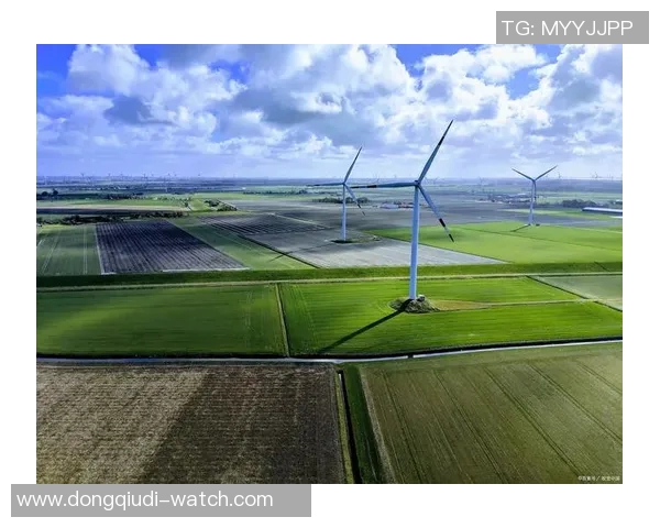 电厂姚明选引领新能源发展新潮流助力绿色未来建设